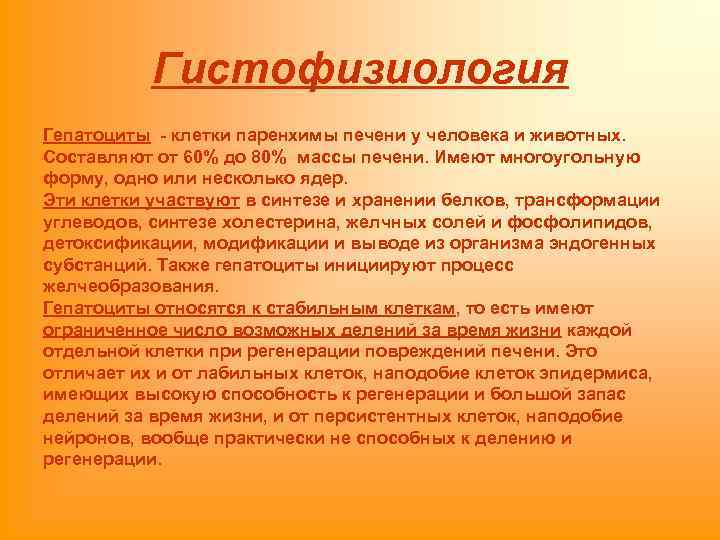 Гистофизиология Гепатоциты - клетки паренхимы печени у человека и животных. Составляют от 60% до