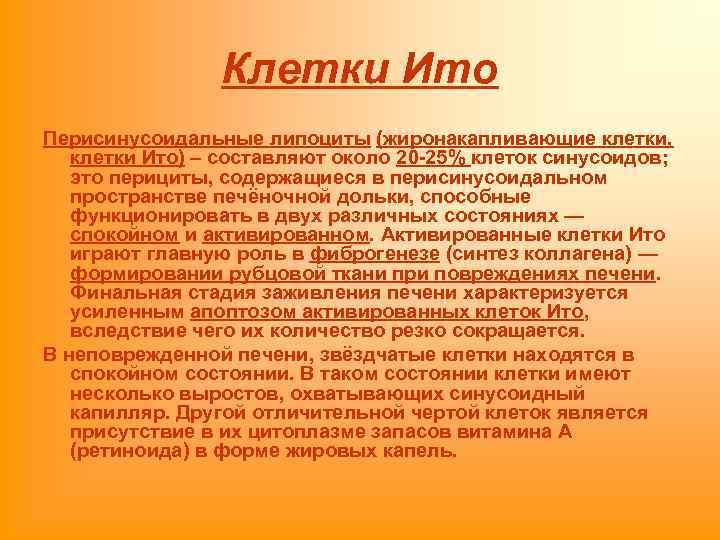Клетки Ито Перисинусоидальные липоциты (жиронакапливающие клетки, клетки Ито) – составляют около 20 -25% клеток