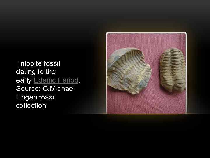 Trilobite fossil dating to the early Edenic Period. Source: C. Michael Hogan fossil collection