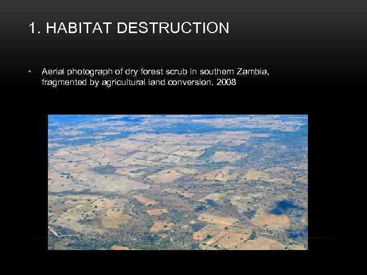 1. HABITAT DESTRUCTION • Aerial photograph of dry forest scrub in southern Zambia, fragmented