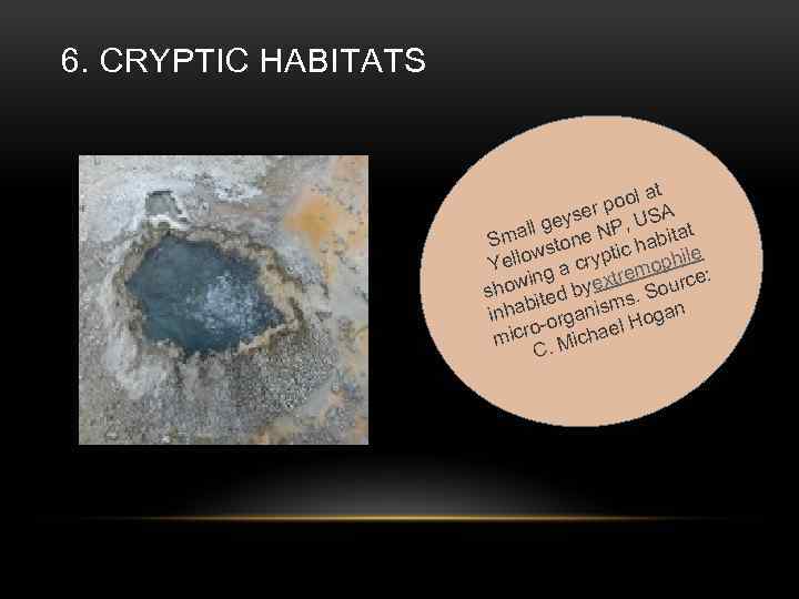 6. CRYPTIC HABITATS ol at po yser , USA ge mall tone NP habitat