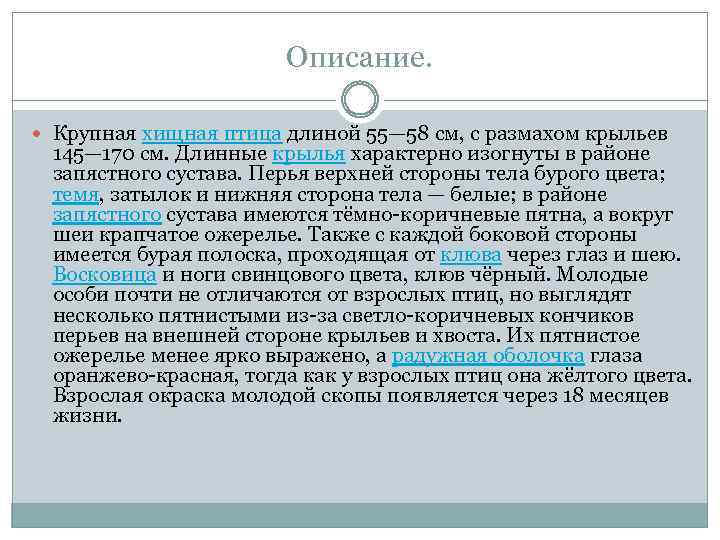 Описание. Крупная хищная птица длиной 55— 58 см, с размахом крыльев 145— 170 см.