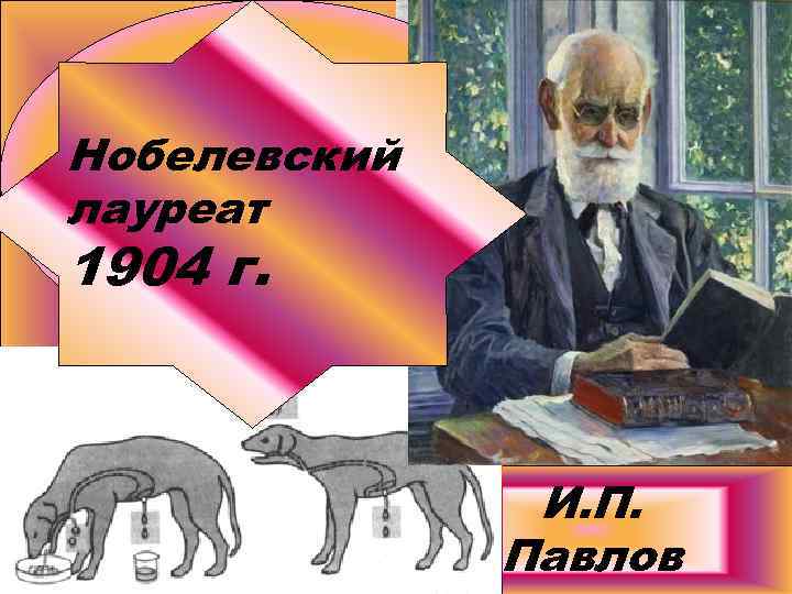Создатель учения Нобелевский об условных лауреат рефлексах. 1904 г. И. П. Павлов 