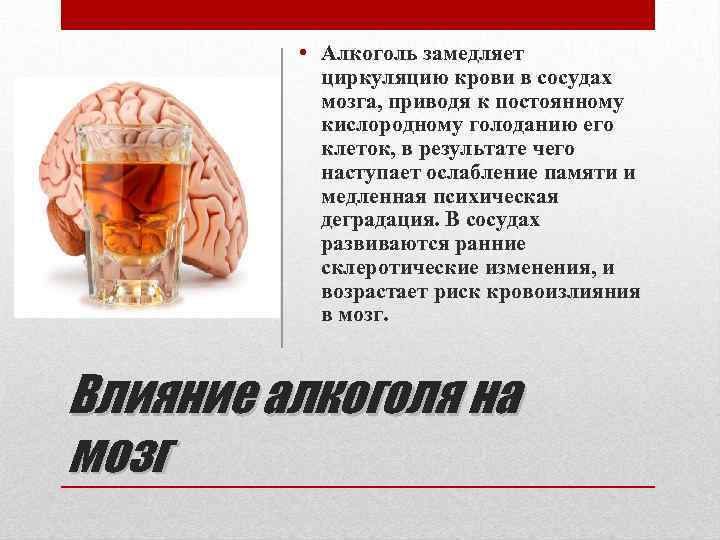  • Алкоголь замедляет циркуляцию крови в сосудах мозга, приводя к постоянному кислородному голоданию
