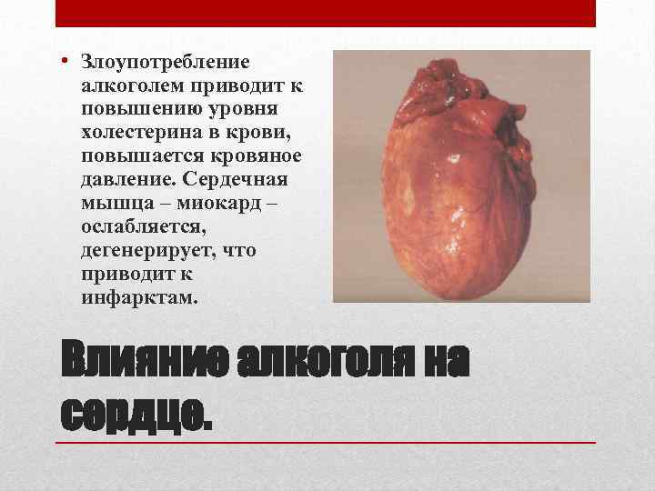  • Злоупотребление алкоголем приводит к повышению уровня холестерина в крови, повышается кровяное давление.