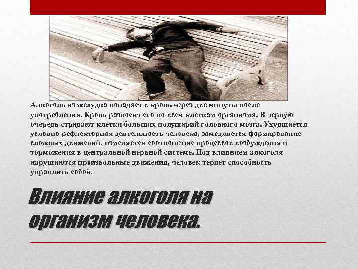Алкоголь из желудка попадает в кровь через две минуты после употребления. Кровь разносит его