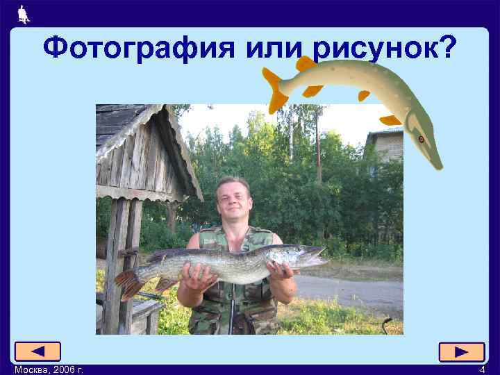 Фотография или рисунок? Москва, 2006 г. 4 