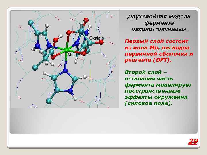 Двухслойная модель фермента оксалат-оксидазы. Первый слой состоит из иона Mn, лигандов первичной оболочки и