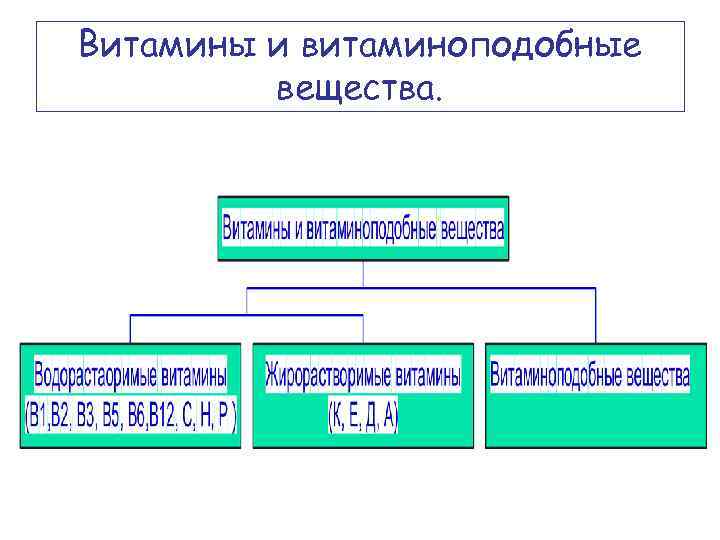 Витамины и витаминоподобные вещества. 