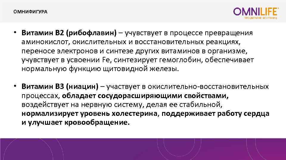 ОМНИФИГУРА • Витамин В 2 (рибофлавин) – учувствует в процессе превращения аминокислот, окислительных и