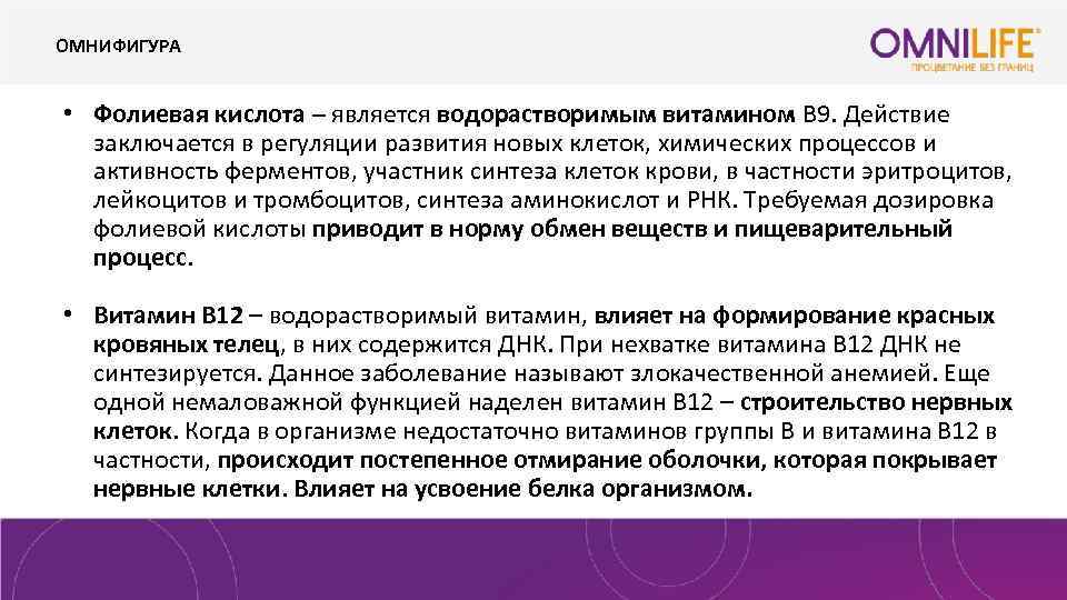 ОМНИФИГУРА • Фолиевая кислота – является водорастворимым витамином B 9. Действие заключается в регуляции