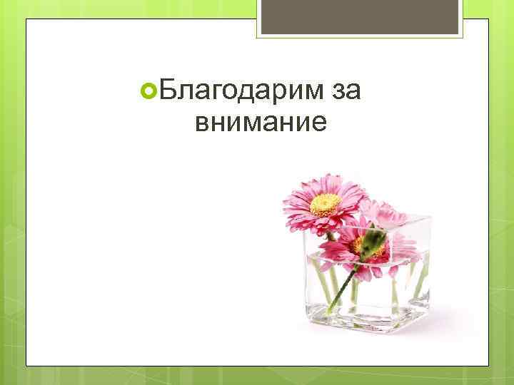  Благодарим за внимание 