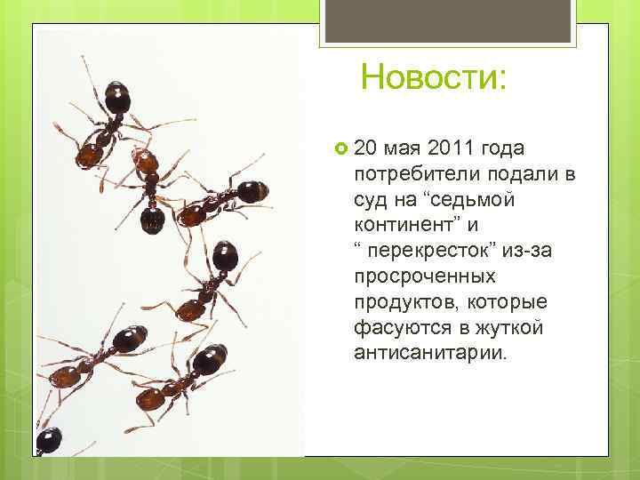 Новости: 20 мая 2011 года потребители подали в суд на “седьмой континент” и “