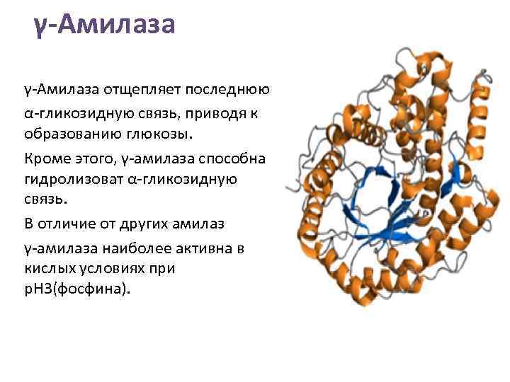 Что такое амилаза