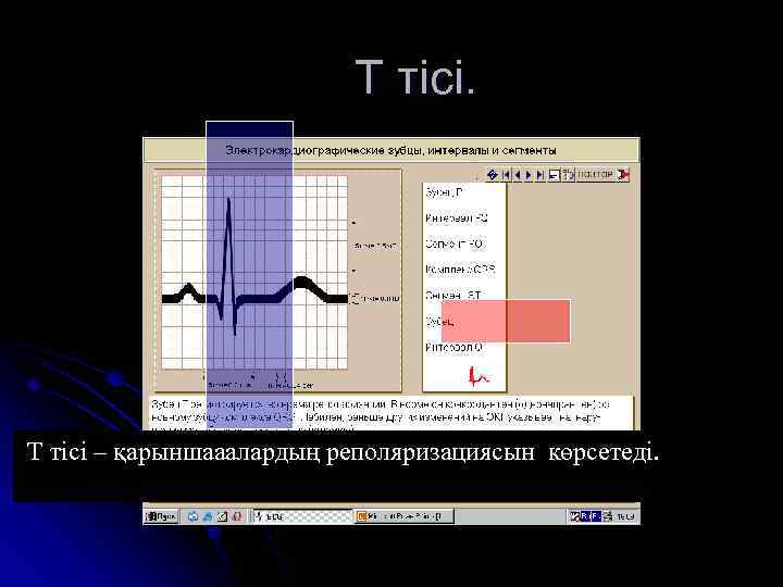 Т тісі. Т тісі – қарыншааалардың реполяризациясын көрсетеді. 