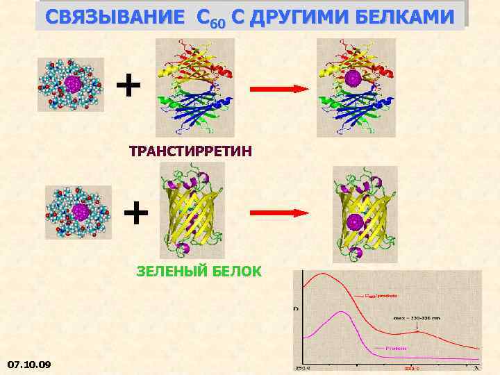 СВЯЗЫВАНИЕ С 60 С ДРУГИМИ БЕЛКАМИ + ТРАНСТИРРЕТИН + ЗЕЛЕНЫЙ БЕЛОК 07. 10. 09