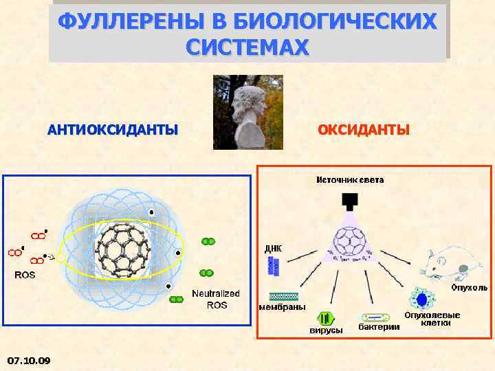 ФУЛЛЕРЕНЫ В БИОЛОГИЧЕСКИХ СИСТЕМАХ АНТИОКСИДАНТЫ 07. 10. 09 ОКСИДАНТЫ 
