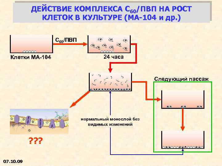 ДЕЙСТВИЕ КОМПЛЕКСА С 60/ПВП НА РОСТ КЛЕТОК В КУЛЬТУРЕ (МА-104 и др. ) С