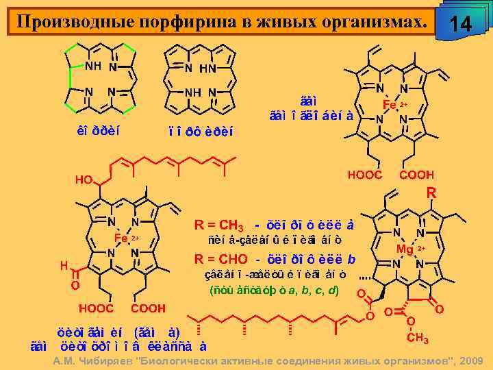 Производные порфирина в живых организмах. 14 А. М. Чибиряев "Биологически активные соединения живых организмов",