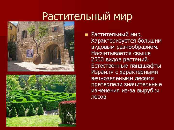 Растительный мир n Растительный мир. Характеризуется большим видовым разнообразием. Насчитывается свыше 2500 видов растений.