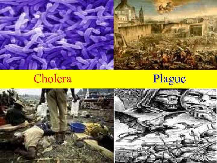 Cholera Plague 