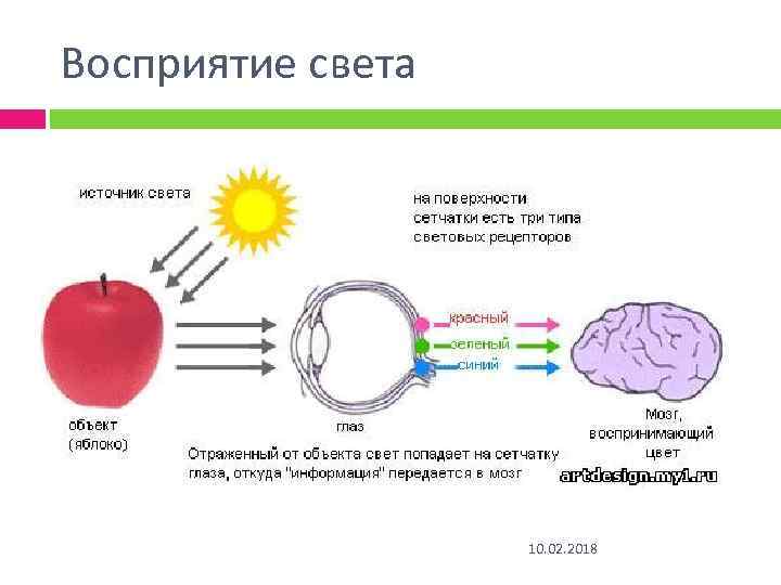 Восприятие света 10. 02. 2018 