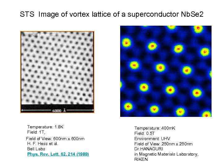 STS Image of vortex lattice of a superconductor Nb. Se 2 Temperature: 1. 8