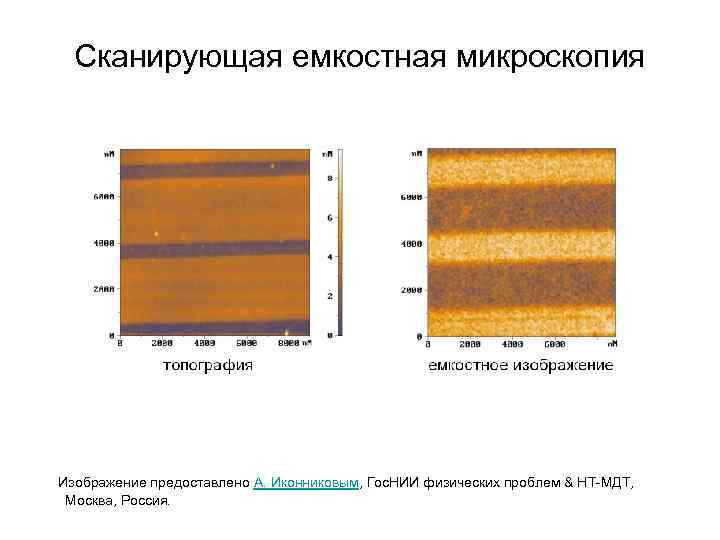 Сканирующая емкостная микроскопия Изображение предоставлено A. Иконниковым, Гос. НИИ физических проблем & НТ-МДТ, Москва,