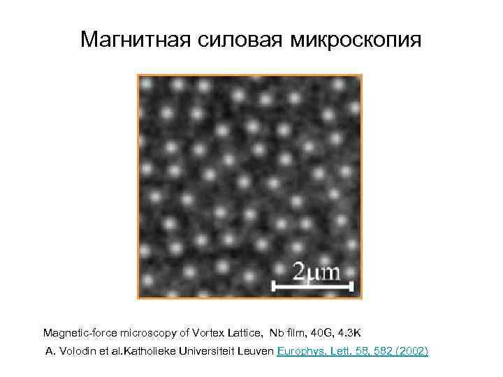 Магнитная силовая микроскопия Magnetic-force microscopy of Vortex Lattice, Nb film, 40 G, 4. 3