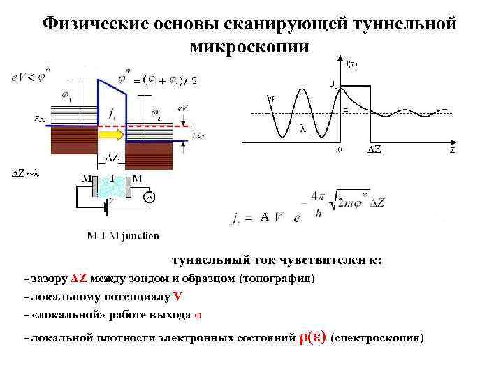 Физические основы сканирующей туннельной микроскопии туннельный ток чувствителен к: - зазору ΔZ между зондом