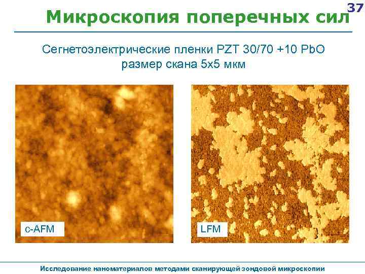 37 Микроскопия поперечных сил Сегнетоэлектрические пленки PZT 30/70 +10 Pb. O размер скана 5