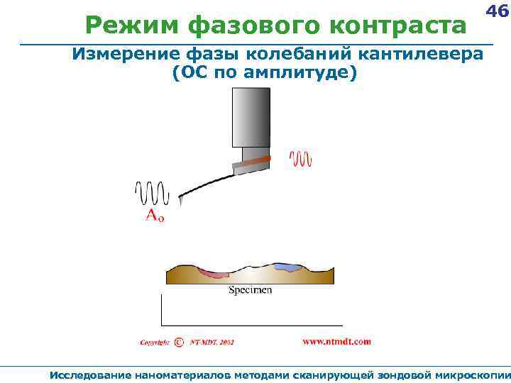 Режим фазового контраста 46 Измерение фазы колебаний кантилевера (ОС по амплитуде) Исследование наноматериалов методами