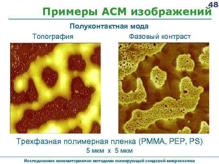 48 Примеры АСМ изображений Полуконтактная мода Топография Фазовый контраст Трехфазная полимерная пленка (PMMA, PEP,