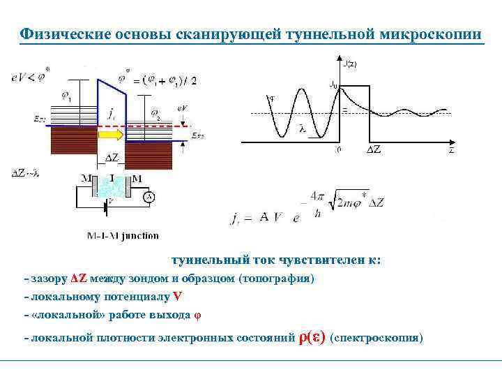 Физические основы сканирующей туннельной микроскопии туннельный ток чувствителен к: - зазору ΔZ между зондом