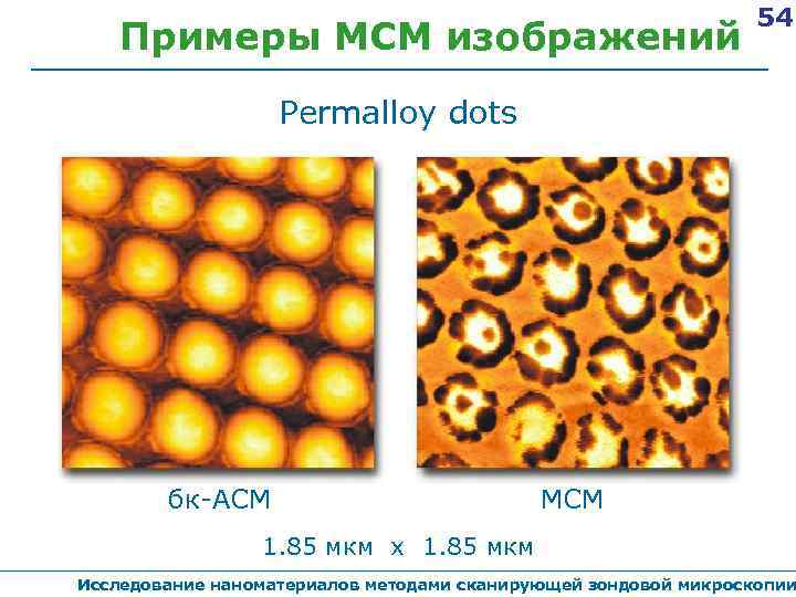 Примеры МСМ изображений 54 Permalloy dots бк-АСМ МСМ 1. 85 мкм х 1. 85