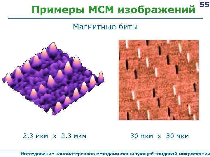 Примеры МСМ изображений 55 Магнитные биты 2. 3 мкм х 2. 3 мкм 30