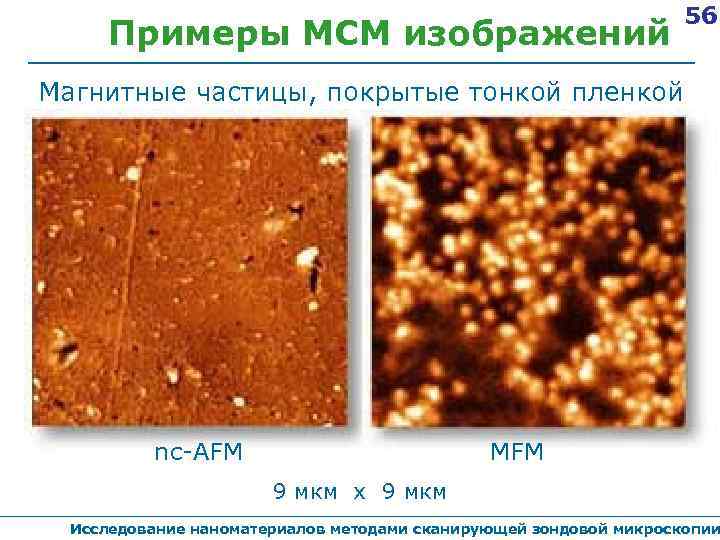 Примеры МСМ изображений 56 Магнитные частицы, покрытые тонкой пленкой nc-AFM MFM 9 мкм х