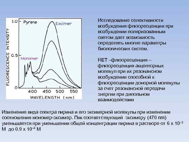 Исследование селективности возбуждения флюоресценции при возбуждении поляризованным светом дает возможность определять многие параметры биологических