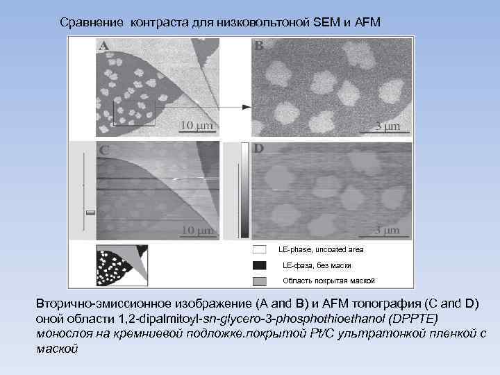 Сравнение контраста для низковольтоной SEM и AFM LE-phase, uncoated area LE-фаза, без маски Область