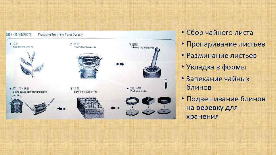  • Сбор чайного листа • Пропаривание листьев • Разминание листьев • Укладка в