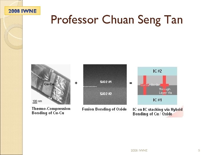 Professor Chuan Seng Tan 2008 IWNE 5 