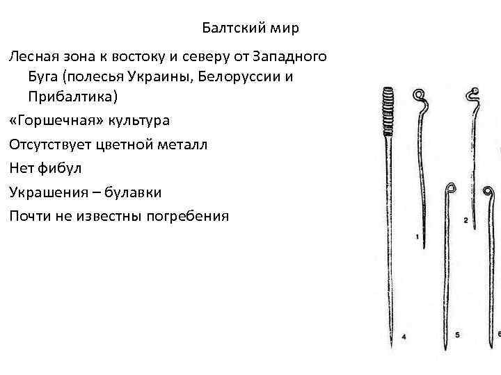 Балтский мир Лесная зона к востоку и северу от Западного Буга (полесья Украины, Белоруссии