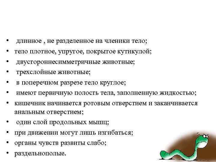  • • • длинное , не разделенное на членики тело; тело плотное, упругое,