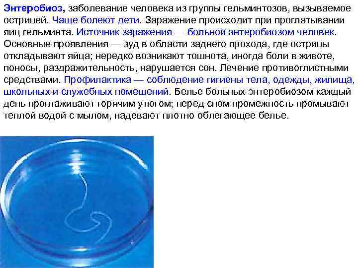 Энтеробиоз, заболевание человека из группы гельминтозов, вызываемое острицей. Чаще болеют дети. Заражение происходит при