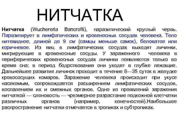 НИТЧАТКА Нитчатка (Wuchereria Bancrofti), паразитический круглый червь. Паразитирует в лимфатических и кровеносных сосудах человека.