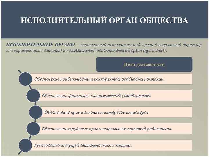 ИСПОЛНИТЕЛЬНЫЙ ОРГАН ОБЩЕСТВА ИСПОЛНИТЕЛЬНЫЕ ОРГАНЫ – единоличный исполнительный орган (генеральный директор или управляющая компания)