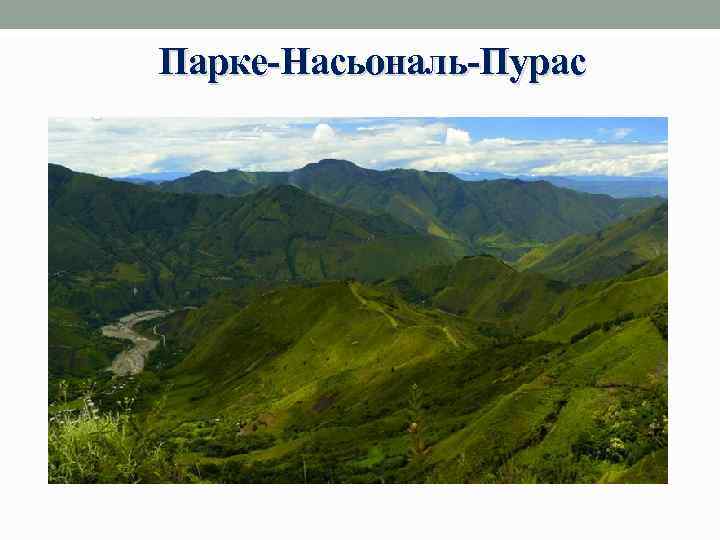 Парке-Насьональ-Пурас 