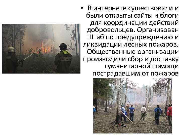  • В интернете существовали и были открыты сайты и блоги для координации действий