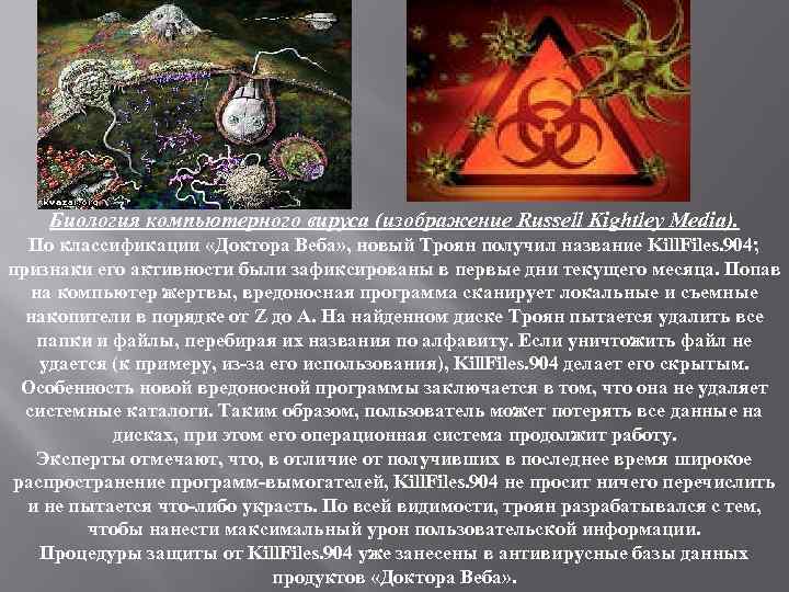 Биология компьютерного вируса (изображение Russell Kightley Media). По классификации «Доктора Веба» , новый Троян