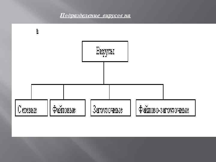 Подразделение вирусов на 
